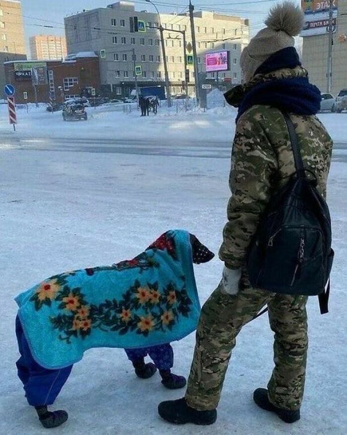 Funny-Pic-Trashandculture