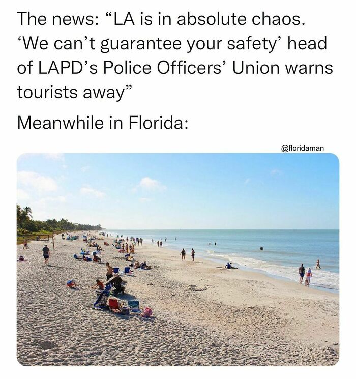 Funny-Florida-Jokes-Memes-Floridaman