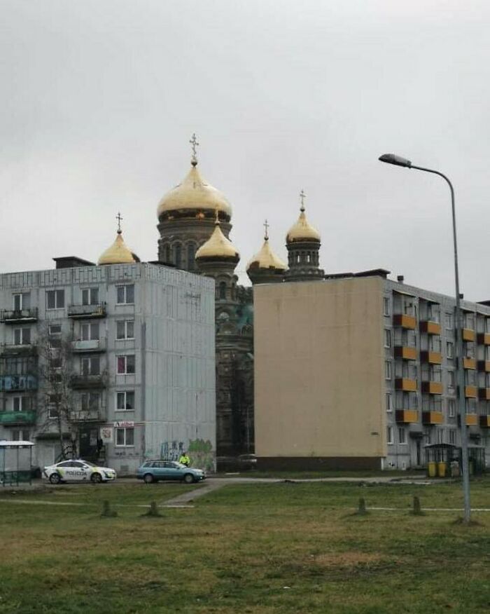 Funny-Pic-Trashandculture