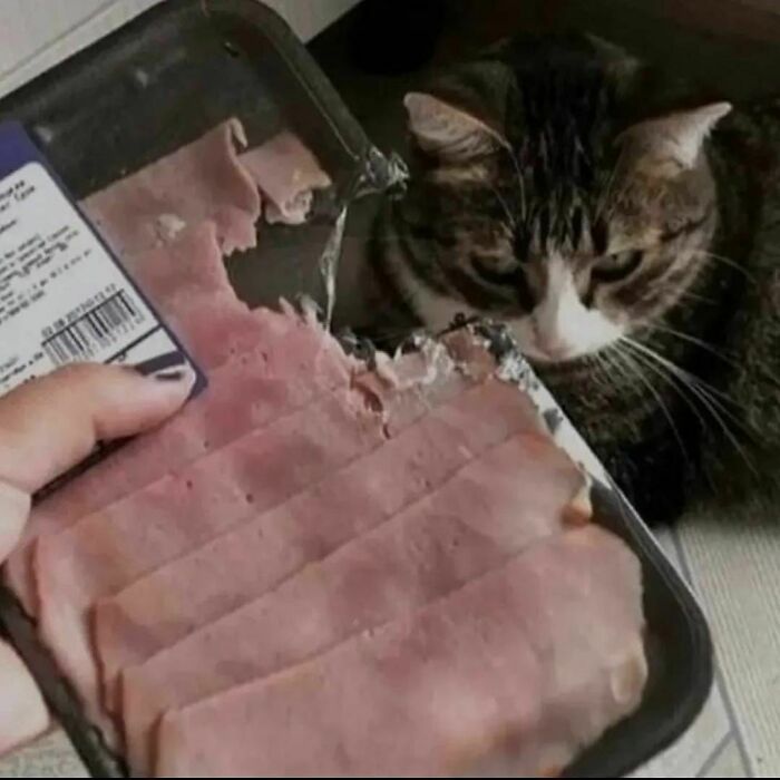 This Instagram Account Shares Pics With Little To No Context, And Here Are 40 Of The Funniest Ones