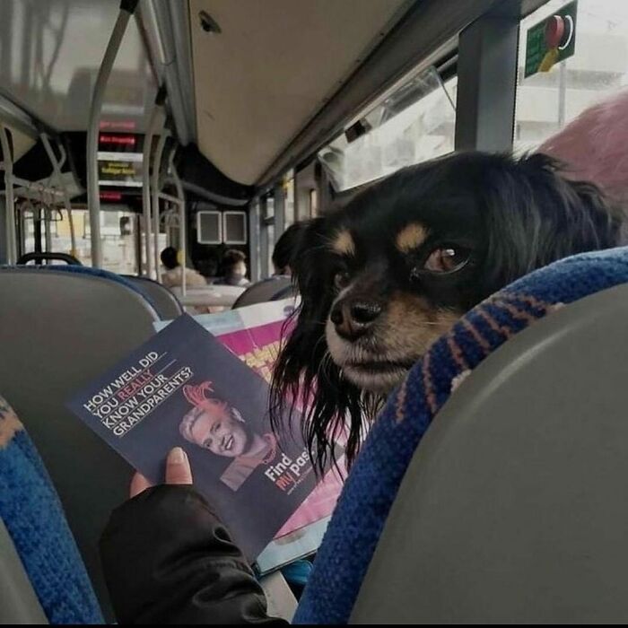 This Instagram Account Shares Pics With Little To No Context, And Here Are 40 Of The Funniest Ones