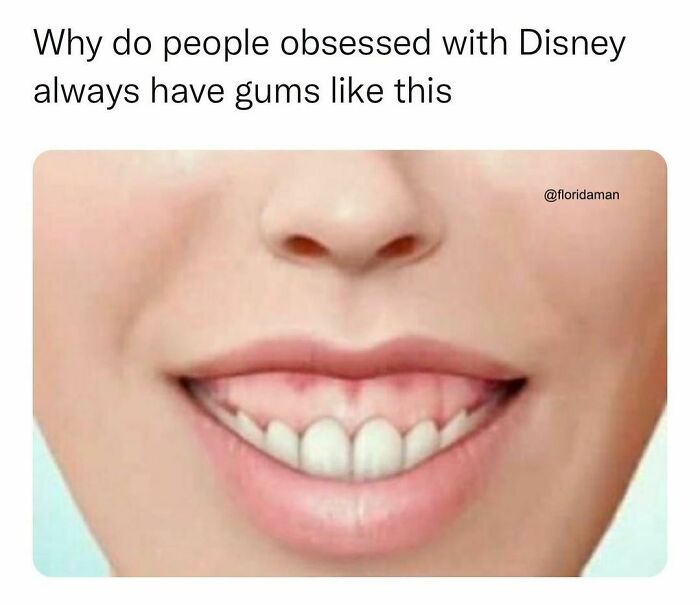 Funny-Florida-Jokes-Memes-Floridaman