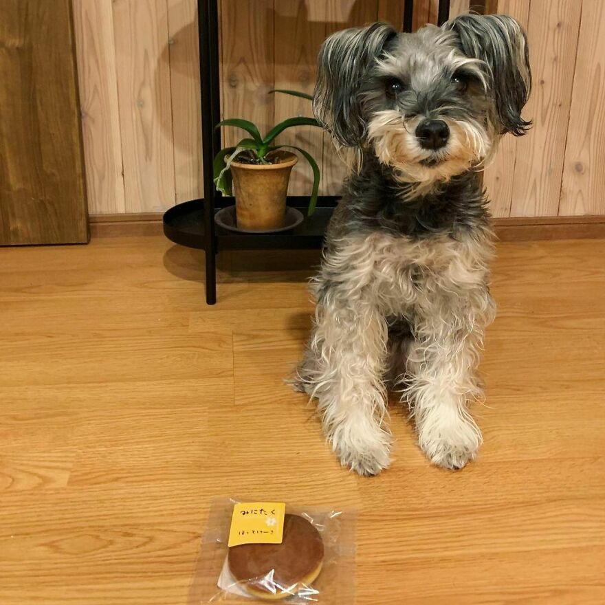 Happy Birthday, Surf