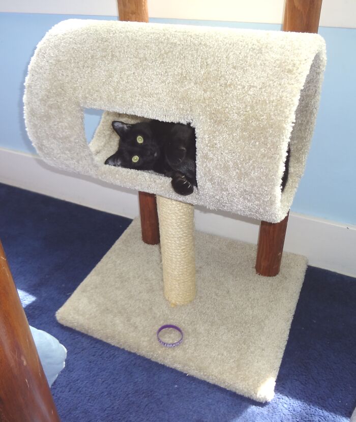 This Is Mine! You May Adore Me