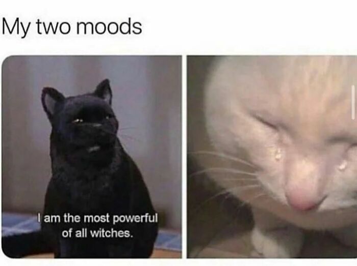 Funny-Therapy-Memes-Someonestherapist