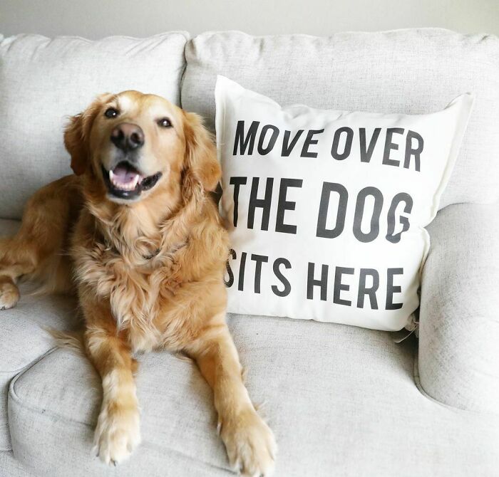 Really Though, That’s My Spot