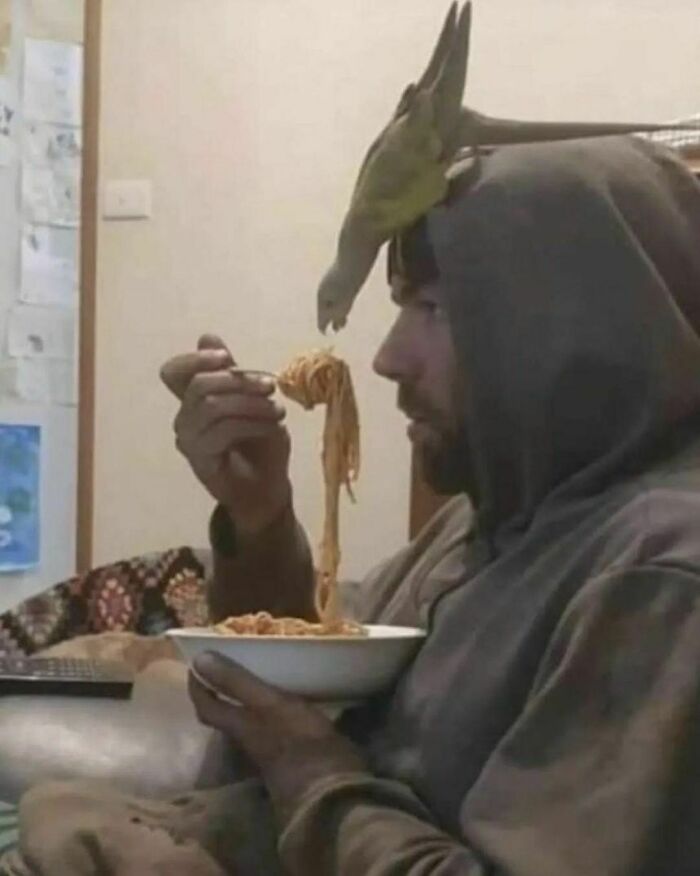 This Instagram Account Shares Pics With Little To No Context, And Here Are 40 Of The Funniest Ones