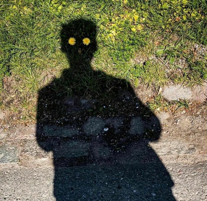 Funny-Pic-Trashandculture