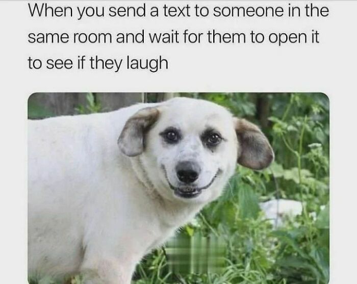 Funny-Therapy-Memes-Someonestherapist