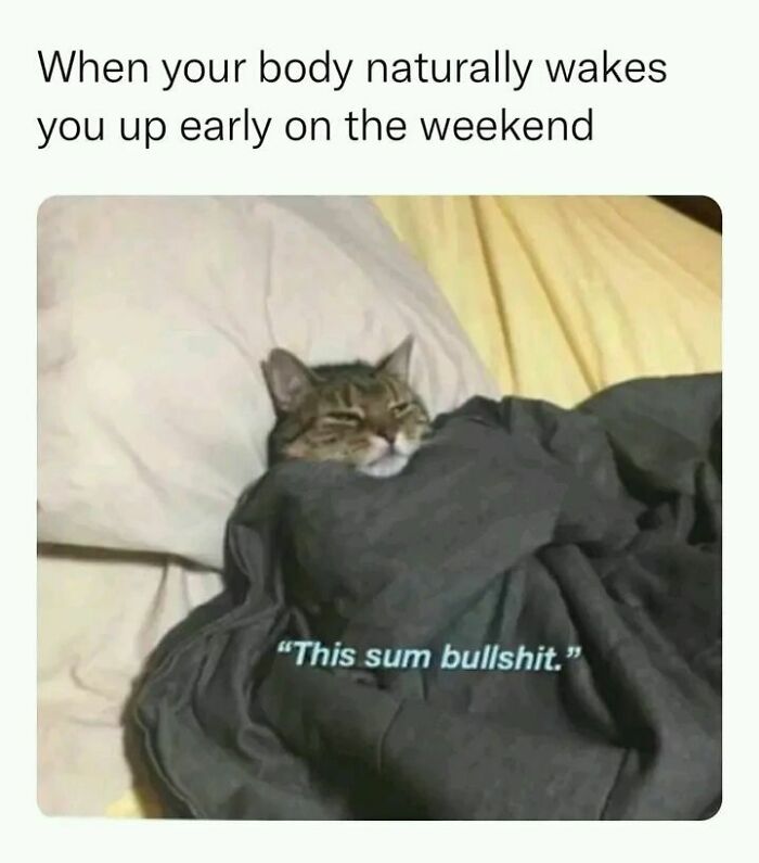 Relatable-Antisocial-Memes