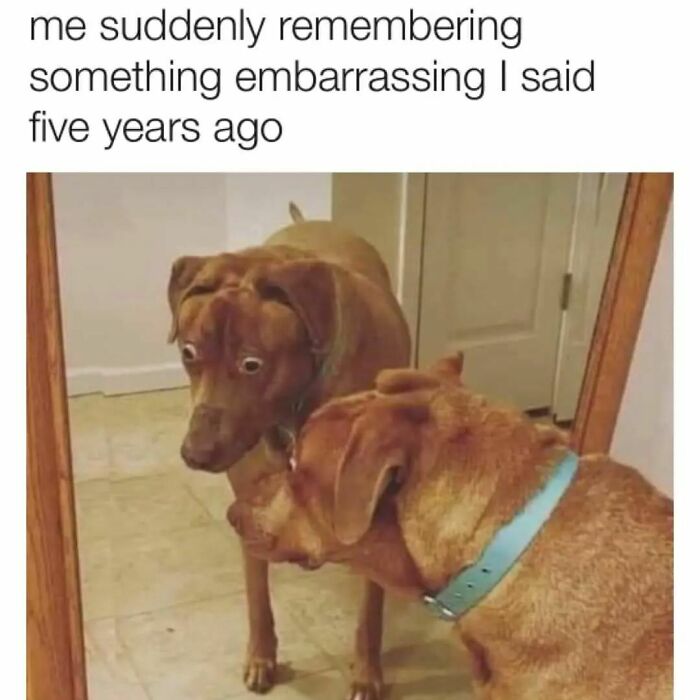 Relatable-Antisocial-Memes