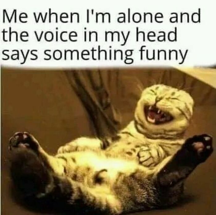 Relatable-Antisocial-Memes