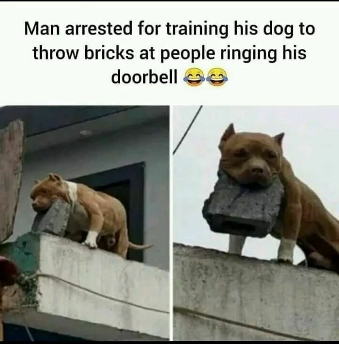 Relatable-Antisocial-Memes