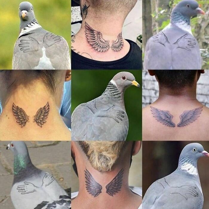 Collage of unfortunate tattoos resembling pigeon wings, highlighting poor tattoo decisions.