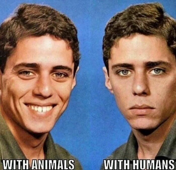 Relatable-Antisocial-Memes