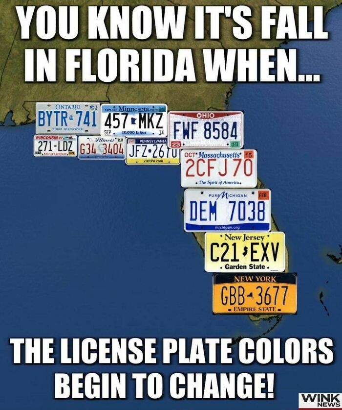 Funny-Florida-Jokes-Memes-Floridaman
