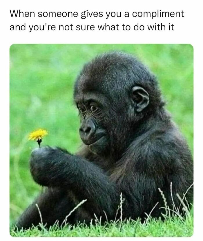 Relatable-Antisocial-Memes