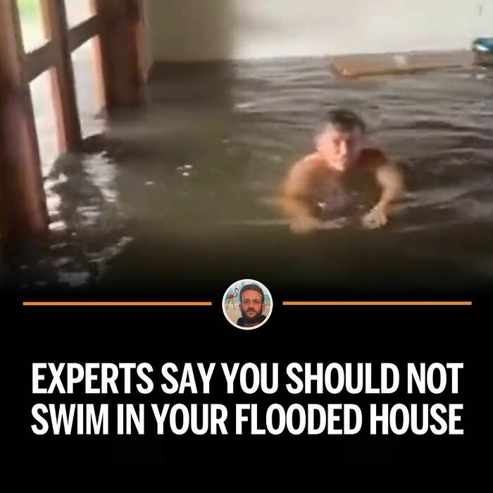 Funny-Florida-Jokes-Memes-Floridaman