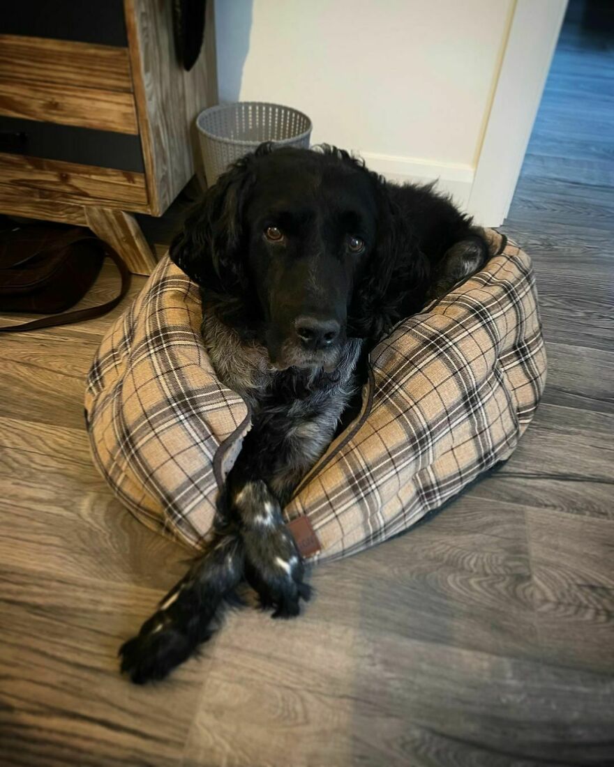 I’m A Little Big For This Bed!