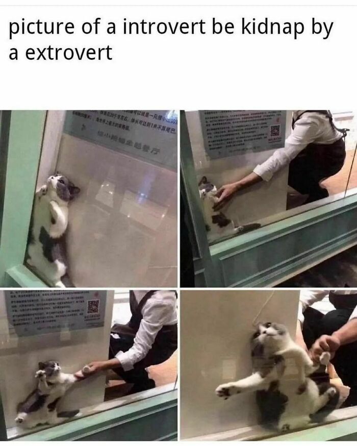 Relatable-Antisocial-Memes