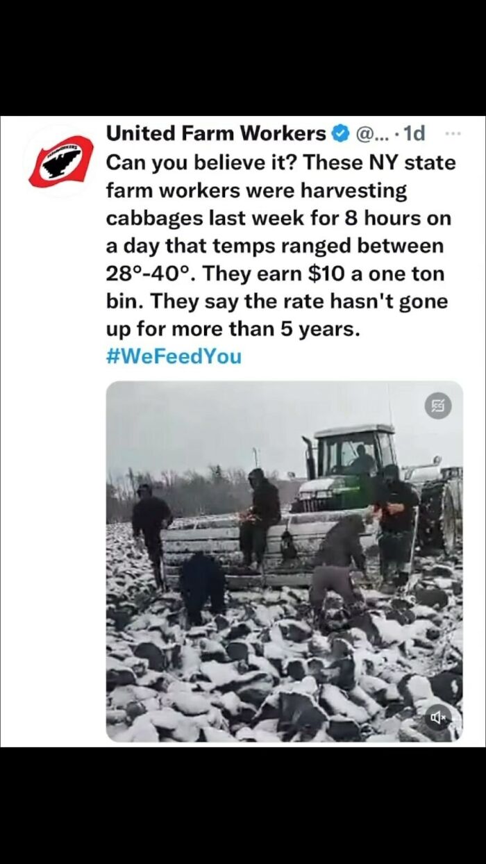 I-Quit-Labor-Market-Screenshots