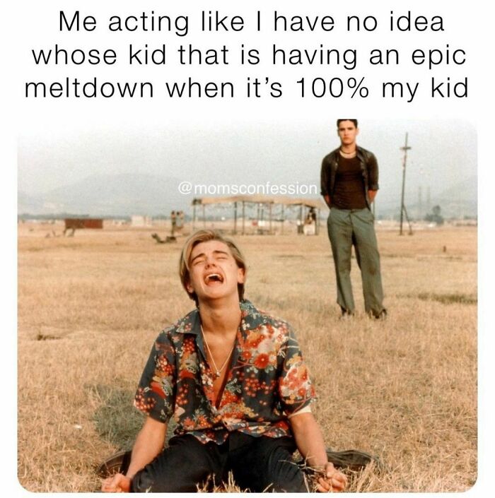 Funny-Moms-Confession-Memes