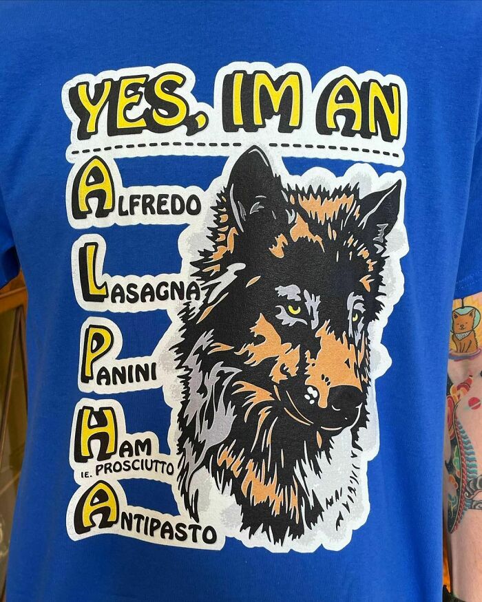 Funny-Shirts-Goodshirts