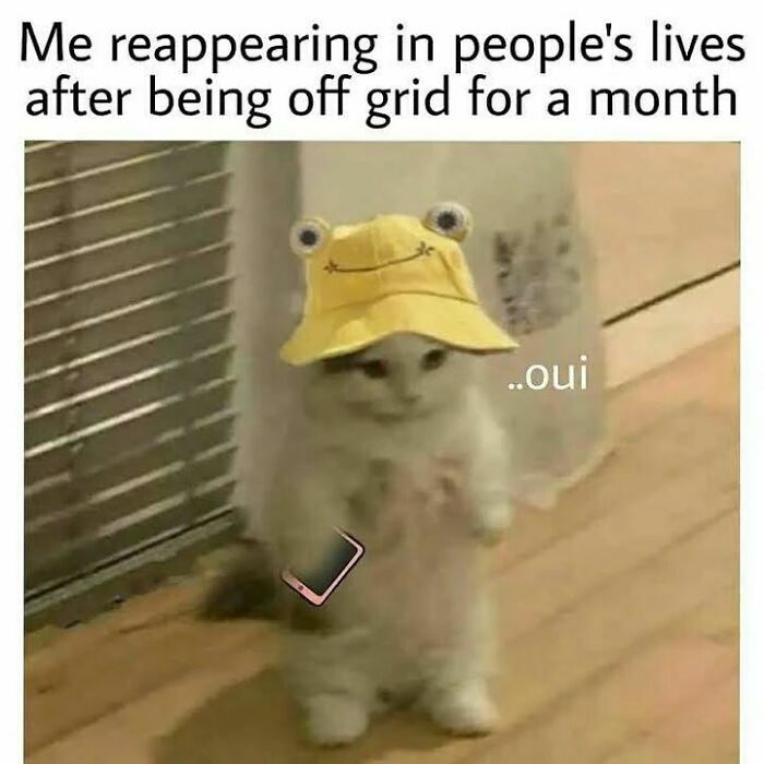 Relatable-Antisocial-Memes