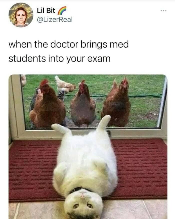 Funny-Moms-Confession-Memes