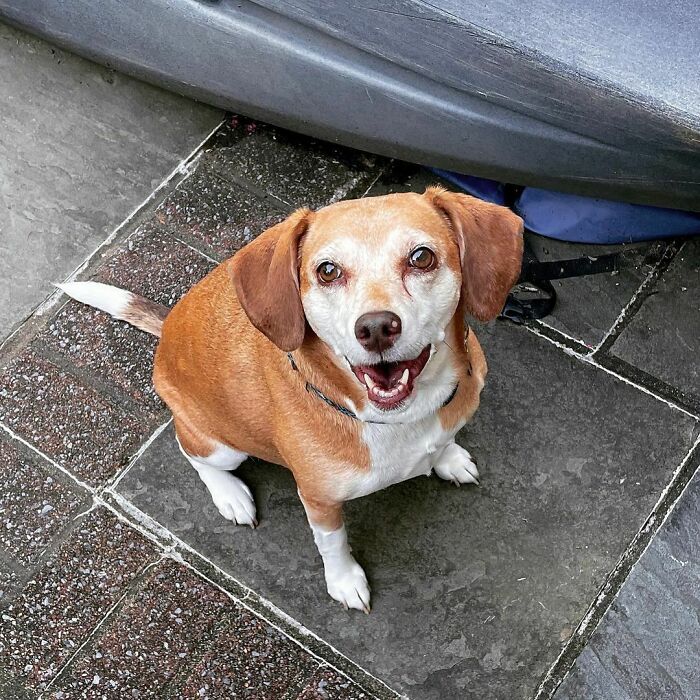 Gotten Older But No Less Cute