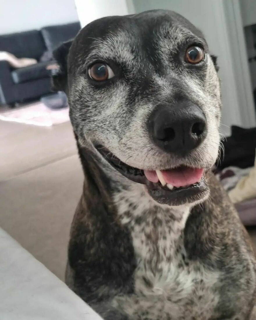 Hi Mum, Time To Wake Up And Go For A Walk