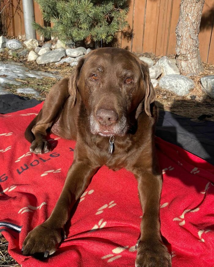 Enjoyed Some Sun, Even Breakfast Outside