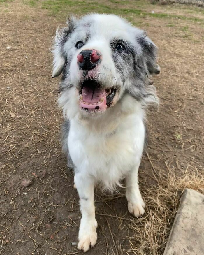 Benvenuto Nonno Argo