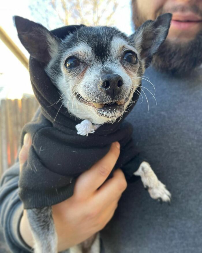 That Face When I Get My Pup Cup (You Can See My Pup Cup Beard)