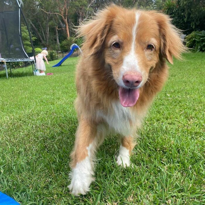 Ou Left Us One Year Ago Today, And Every Day Since I Have Wished With Every Fibre Of My Being That I Could Give You One Last Cuddle