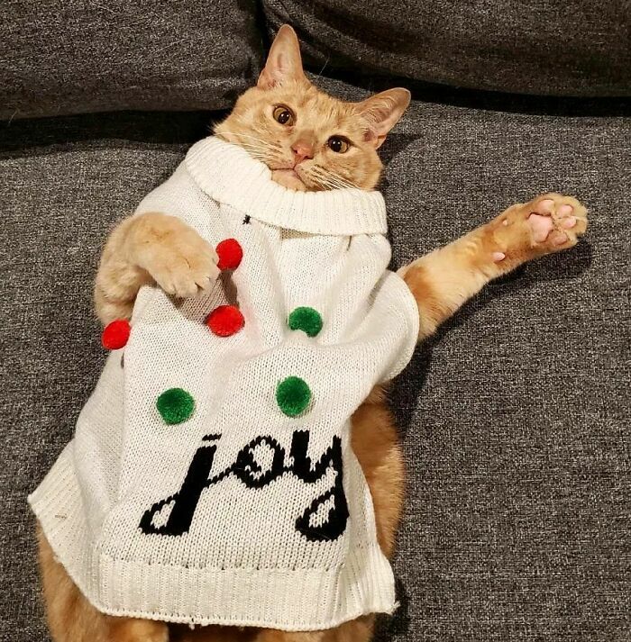 Davie Wants To Start Off This Week With Hugs Of Joy