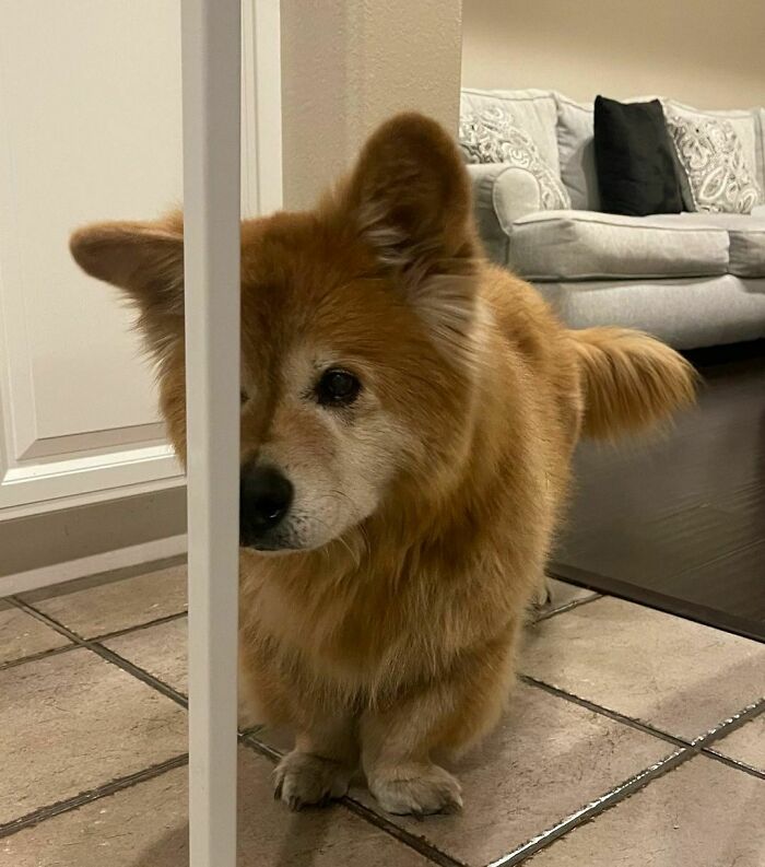 Excuse Me Mama, I See You Halving My Treat After You Just Ate A Whole Bag Of Chips! Rude!
