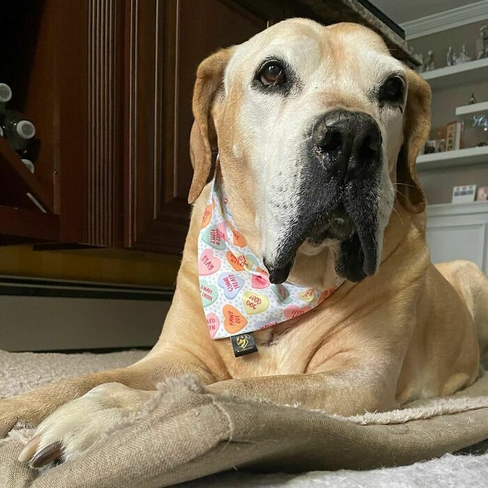 It’s Only The Morning But So Far It’s Been One Of The Bestest Mornings Ever!!!