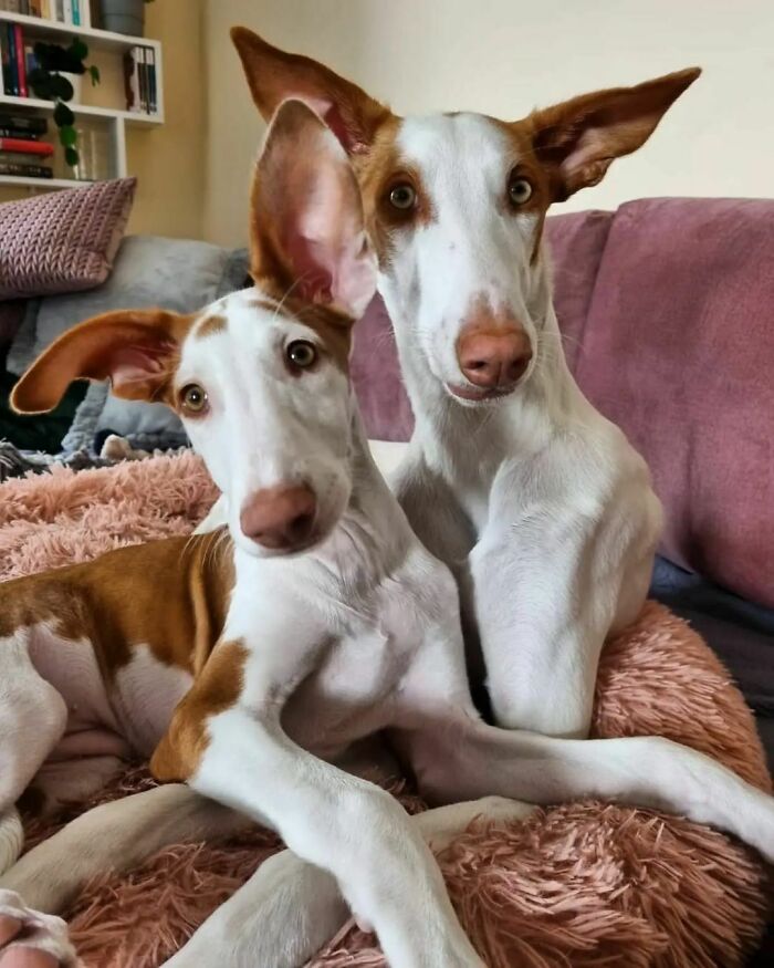 A Little Reminder Of The Day When This Two Met