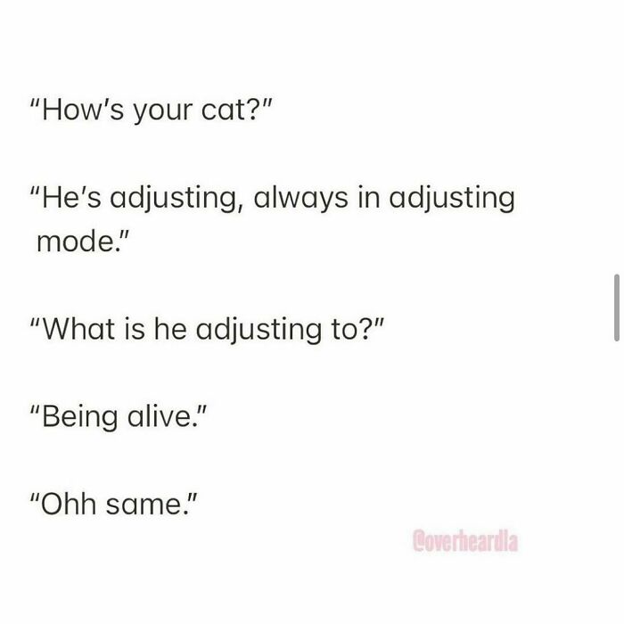 Funny-Conversations-Overheardla