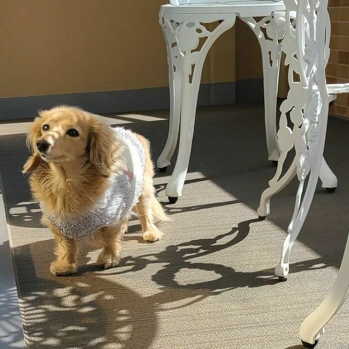 My Favourite Balcony