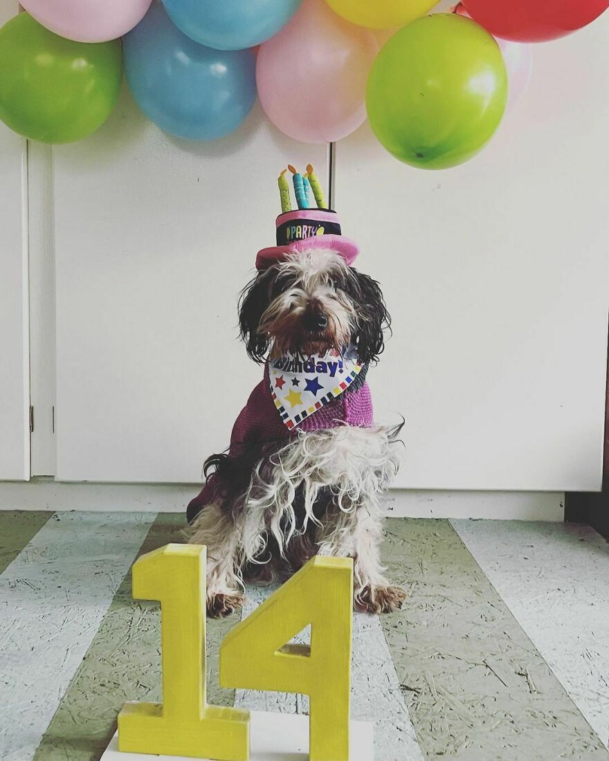 Happy 14th Birthday To My Fabulous Prince Freddy