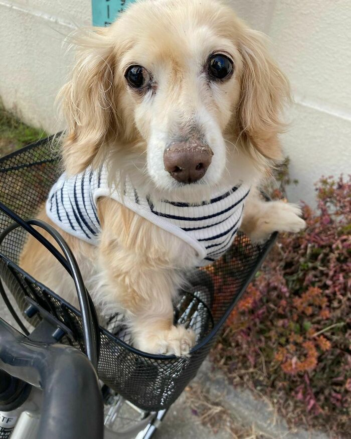 I Took Him To The Park. He Started Eating Sand, So I Had To Take Him In
