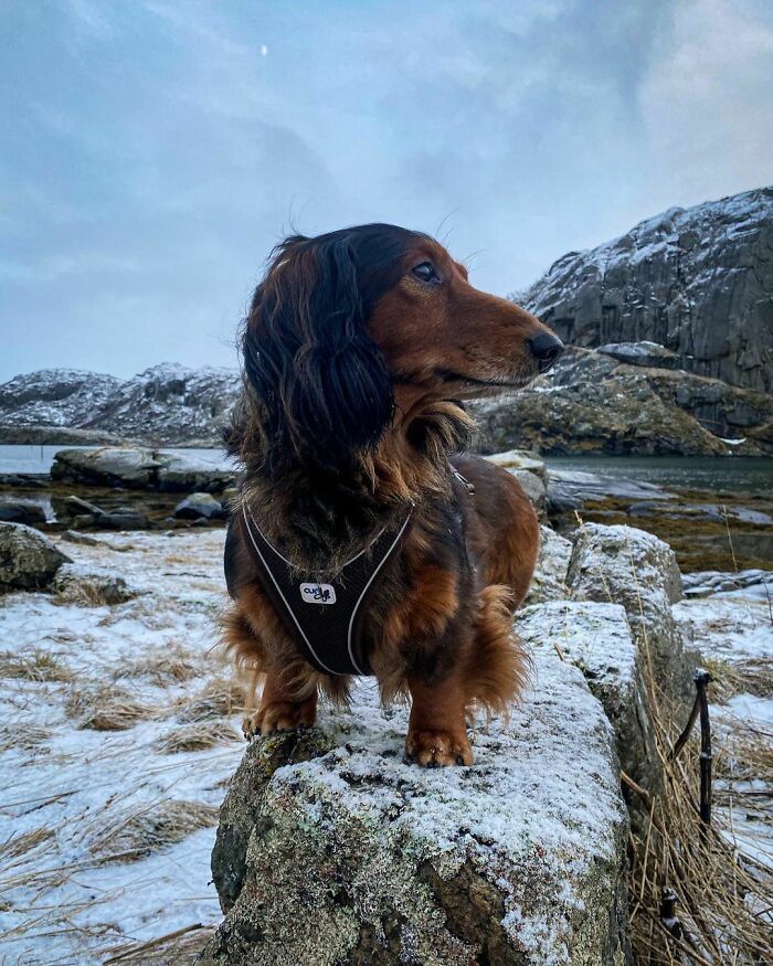 Max Is Looking At The Big Sea