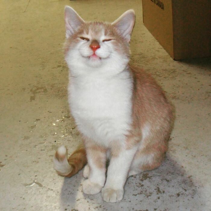 Smile Because Ghostie Loves You!!