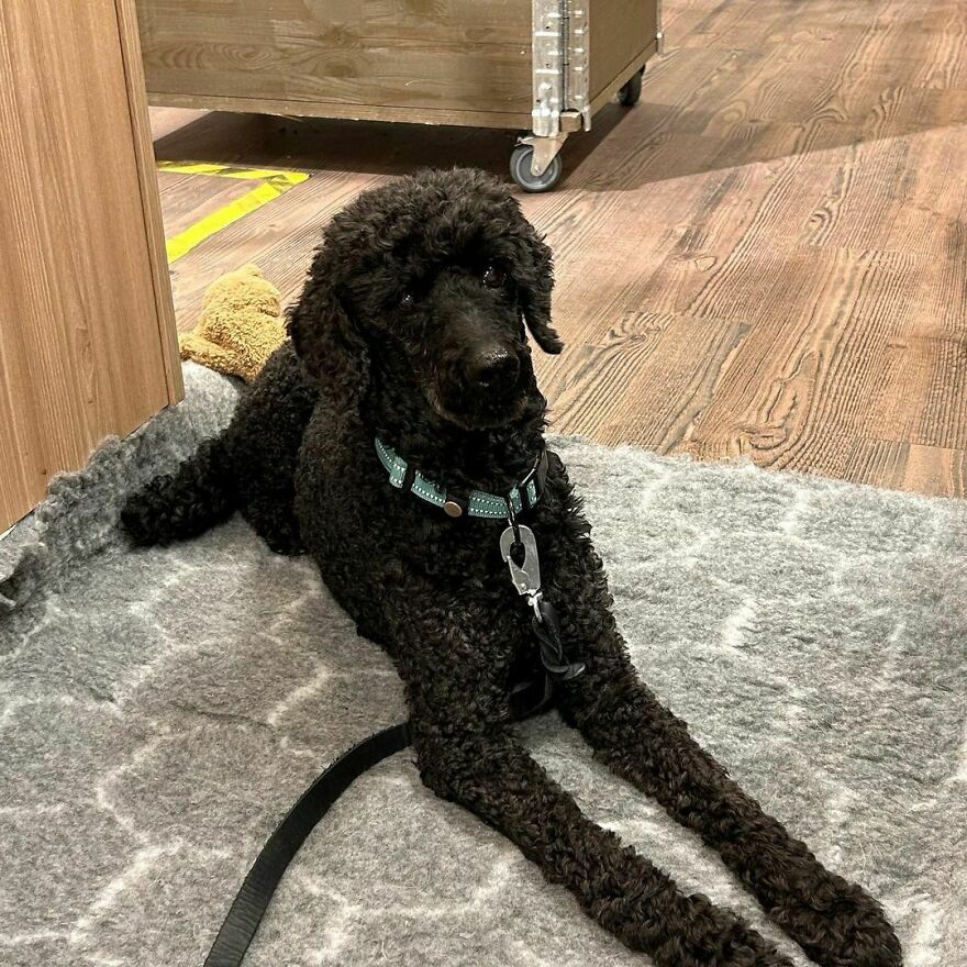 Lucky Me Who Gets To Be With My Mom At Work