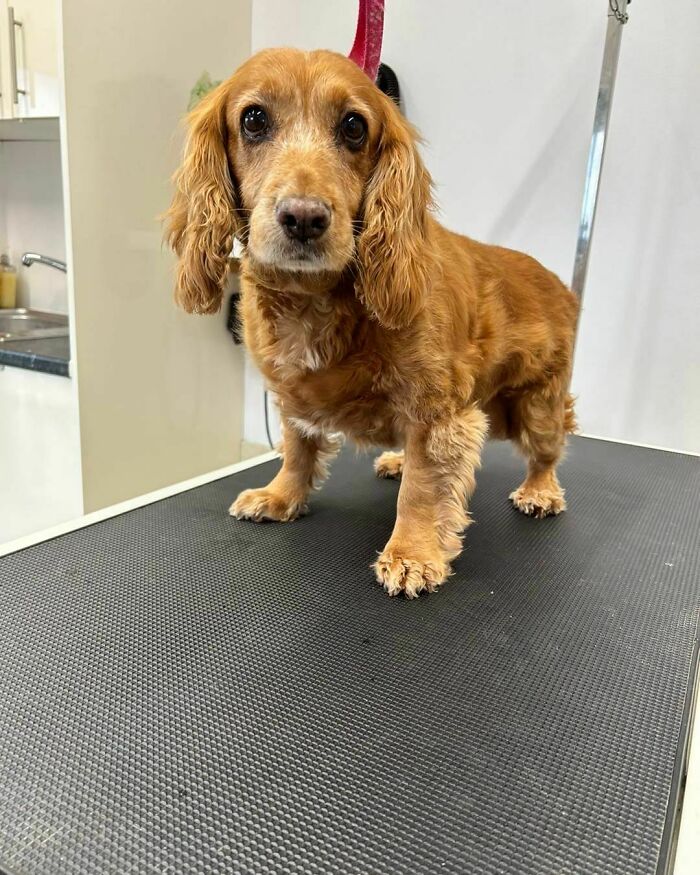 I Just Love Working With The Oldies, They’re So Sweet!