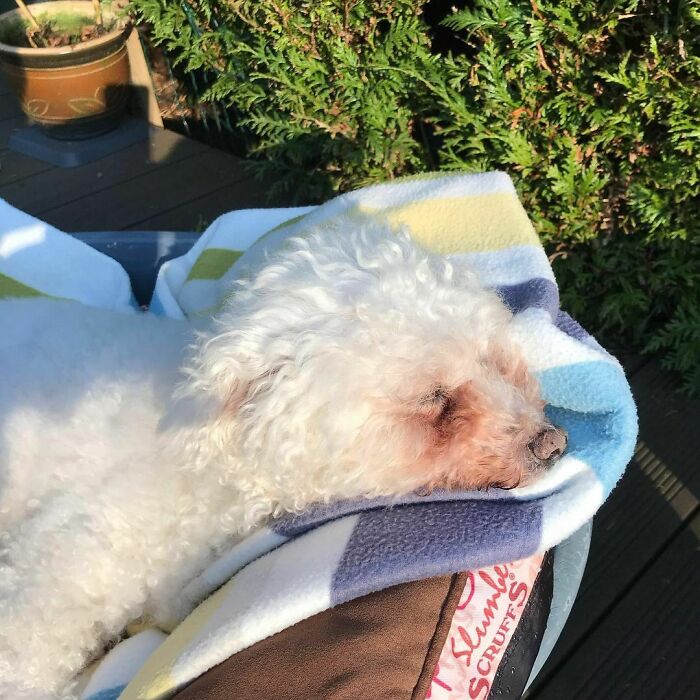 Mummy’s Still Poorly But I’m Giving My Best Cute And Silly Faces To Make Her Smile