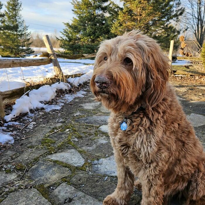 The Long Weekend Is In Sight!