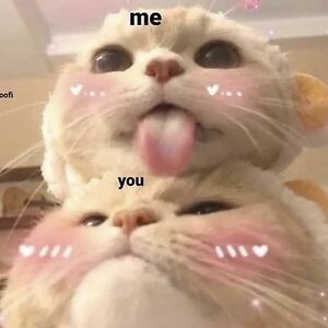 novembernightx avatar